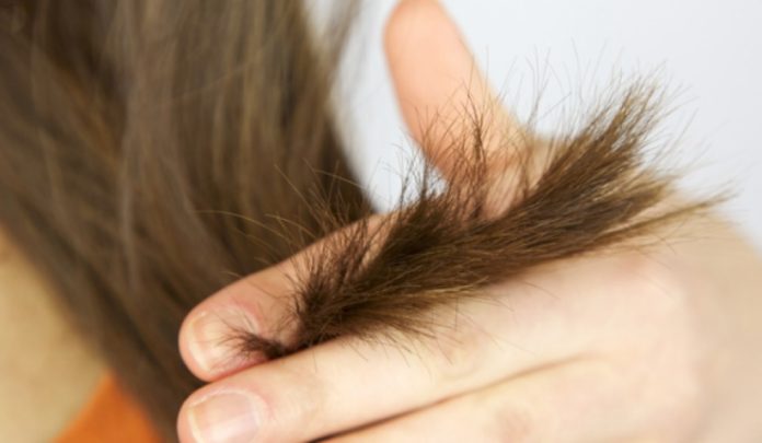 Saç Kırıklarının Nedenleri ve Çözümü