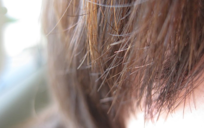 Saç kırıkları nasıl giderilir | Sacdelisi.com